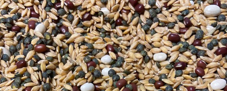16.9legumineuses-melange-petit-epeautre-saveurs-truques legumineuses-melange-petit-epeautre-saveurs-truques