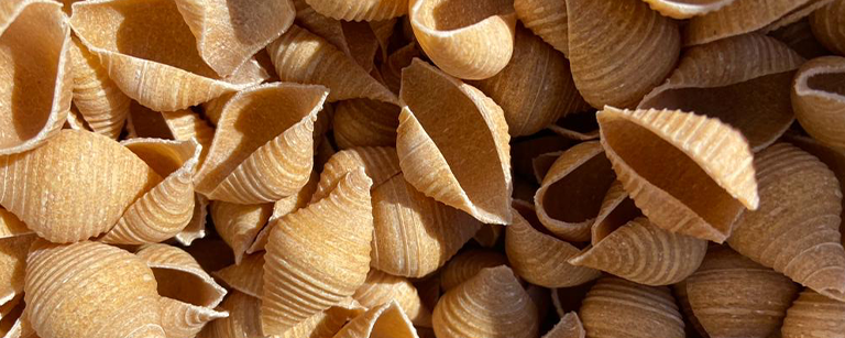 16.9coquilles-petit-epeautre-saveurs-truques