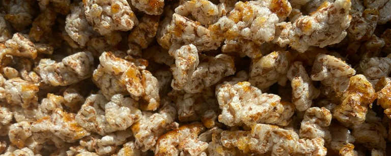 16.9pop-epeautre-petit-epeautre-saveurs-truques